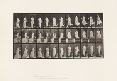 Piatto 143. Scendere la pendenza, girare tazza e piattino nella mano destra da Eadweard Muybridge