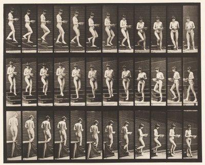 Piastra 144. Scendere le scale; girare un bacino nelle mani da Eadweard Muybridge