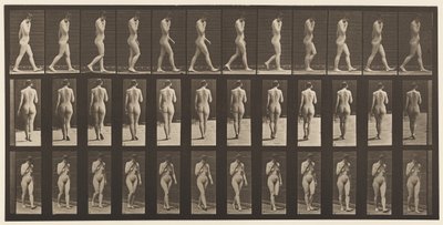 Tavola 14. Camminare, mano destra al mento da Eadweard Muybridge