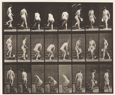 Tavola 150. Scendere le scale; chinarsi, sollevare una brocca, girarsi da Eadweard Muybridge