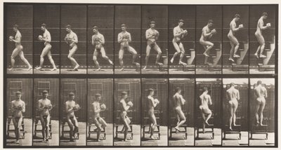 Tavola 151. Scendere la scala, girarsi, roccia in mano, 1872-1885 da Eadweard Muybridge