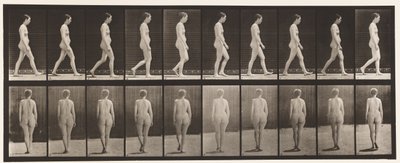 Tavola 15. Camminare da Eadweard Muybridge