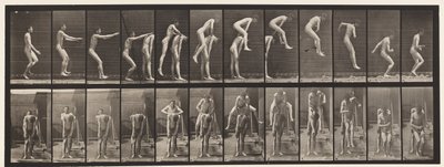 Tavola 166. Saltare; sopra la schiena di un uomo da Eadweard Muybridge