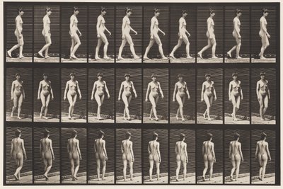Camminare da Eadweard Muybridge
