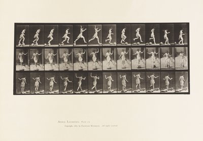 Tavola 170. Da pietra a pietra attraverso un ruscello, 1885 da Eadweard Muybridge