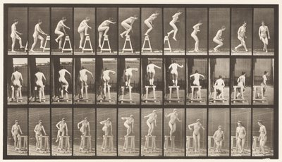 Tavola 171. Salire su un cavalletto; Saltare giù, girarsi da Eadweard Muybridge