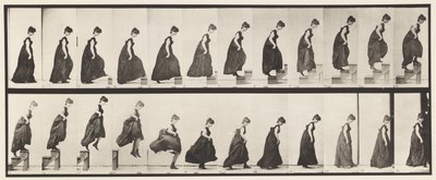 Tavola 173. Salire i gradini e saltare giù, 1885 da Eadweard Muybridge