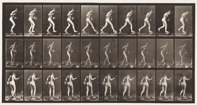 Tavola 176. Attraversare un ruscello su pietre con canna da pesca e cestino da Eadweard Muybridge