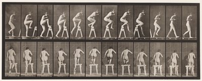 Piastra 178. Salire e scendere un cavalletto da Eadweard Muybridge