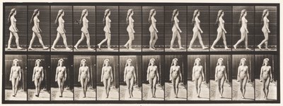 Tavola 17. Camminare da Eadweard Muybridge