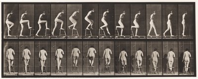 Tavola 180. Salire e scendere da una sedia da Eadweard Muybridge
