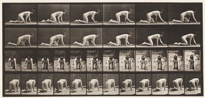 Piastra 182. Strisciare su mani e ginocchia da Eadweard Muybridge
