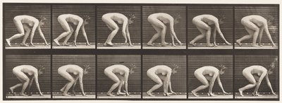 Piastra 183. Camminare su mani e piedi da Eadweard Muybridge