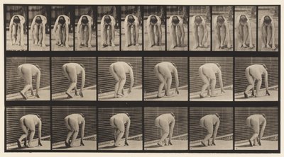 Piatto 184. Camminando su mani e piedi da Eadweard Muybridge