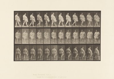 Tavola 19. Camminata, Inizio della Rotazione da Eadweard Muybridge