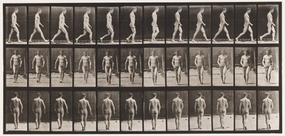 Tavola 1. Camminare da Eadweard Muybridge
