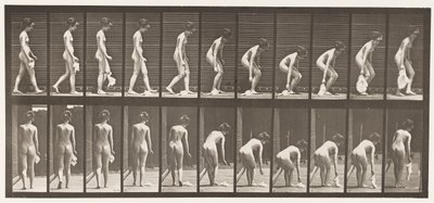 Tavola 202. Lasciare cadere e sollevare un fazzoletto da Eadweard Muybridge