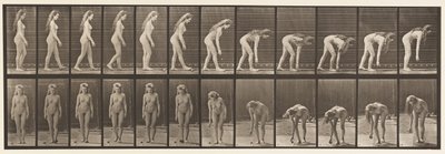 Fermarsi per raccogliere una palla (tavola 204) da Eadweard Muybridge