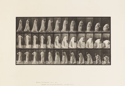 Tavola 205. Portare e chinarsi con un vaso, 1885 da Eadweard Muybridge