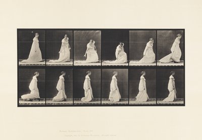 Piegarsi e sollevare il treno, 1885 da Eadweard Muybridge