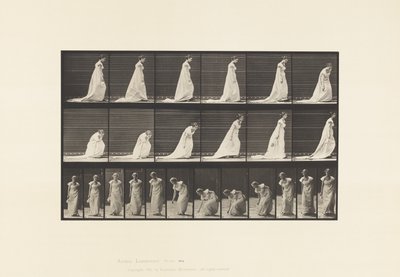 Tavola 209. Chinarsi e sollevare un fazzoletto, 1885 da Eadweard Muybridge