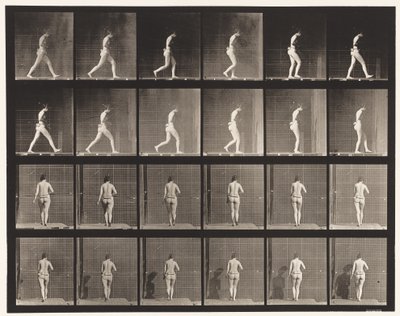 Camminare, gomito destro piegato (tavola 20) da Eadweard Muybridge
