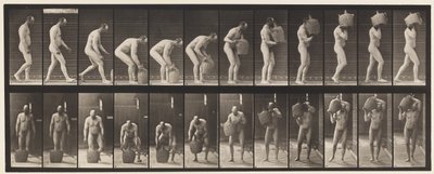 Tavola 218. Piegamento e sollevamento di un demijohn pieno sulla spalla da Eadweard Muybridge
