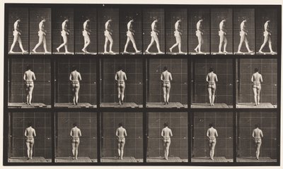 Piastra 21. Camminare, entrambi i gomiti piegati da Eadweard Muybridge