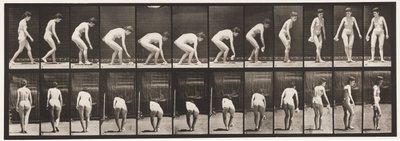 Chinarsi e sollevare un fazzoletto e girarsi (tavola 220) da Eadweard Muybridge