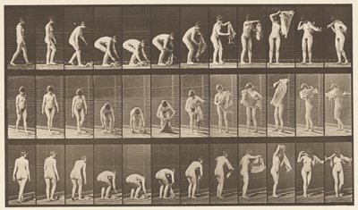 Tavola 227. Sollevare un panno da terra, 1872-1885 da Eadweard Muybridge