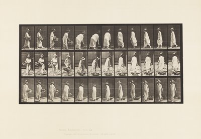 Piastra 229. Posizionando il cestino a terra e girandosi da Eadweard Muybridge