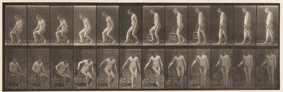 Tavola 236. Posizionare la sedia e sedersi, 1885 da Eadweard Muybridge