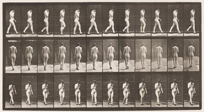 Camminare, mano destra al mento, con scarpe col tacco (tavola 23) da Eadweard Muybridge