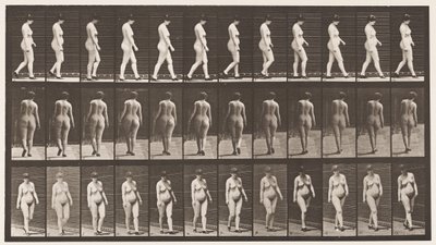 Piastra 24. Camminare, con scarpe con i tacchi alti da Eadweard Muybridge