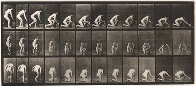Tavola 252. Inginocchiarsi sul ginocchio destro e strofinare il pavimento, 1872-1885 da Eadweard Muybridge