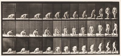 Tavola 255. Alzarsi da inginocchiato e girarsi da Eadweard Muybridge