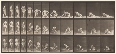 Tavola 256. Sdraiarsi a terra e leggere, 1872-1885 da Eadweard Muybridge