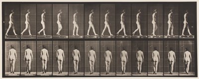 Tavola 25. Camminare con scarpe con tacco alto da Eadweard Muybridge