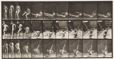 Entrare in un Amaca, 1872-1885 da Eadweard Muybridge
