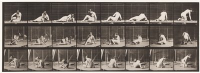 Piatto 266. Girandosi e cambiando posizione mentre è ancora a terra da Eadweard Muybridge
