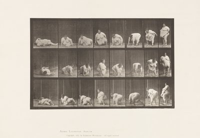 Alzarsi da Terra, 1885 da Eadweard Muybridge