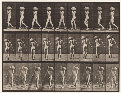 Camminare, portare una pietra di 75 libbre sulla spalla sinistra da Eadweard Muybridge
