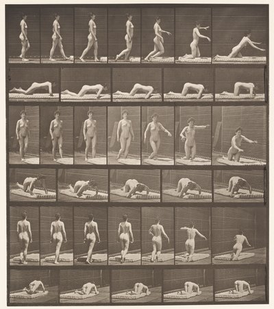Piatto 272. Inciampando e cadendo a terra da Eadweard Muybridge