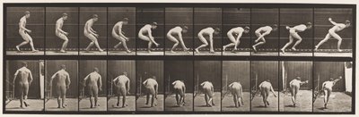 Tavola 287. Baseball; correre e raccogliere la palla da Eadweard Muybridge