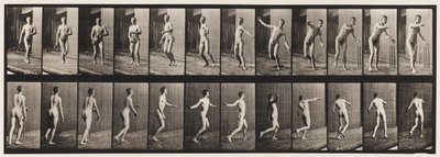 Tavola 289. Cricket; lancio a braccio tondo da Eadweard Muybridge