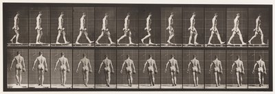 Tavola 28. Camminare, portando un manubrio da 50 libbre nella mano destra, 1872-1885 da Eadweard Muybridge