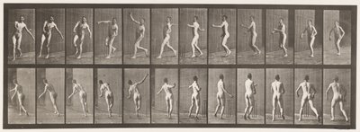 Cricket; lancio sopra il braccio da Eadweard Muybridge