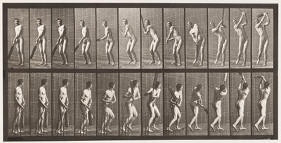 Cricket; battuta; drive da Eadweard Muybridge
