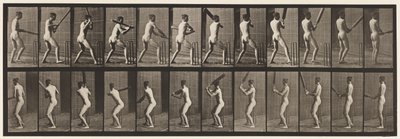 Tavola 292. Cricket; battere; schiena fuori, 1885 da Eadweard Muybridge
