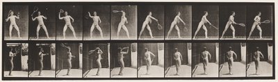 Tavola 294. Tennis; Servizio da Eadweard Muybridge